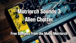 Alien Chatter - Free Moog Matriarch Samples!