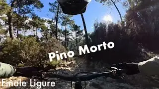 Pino morto full run- Finale Ligure Januar 2026