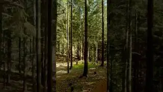 Cinematic fpv geprc GoPro Hero 6 naked