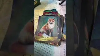 Angels & ancestors oracle by Kyle gray flip through 2021