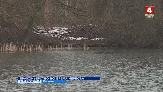 БРАКОНЬЕРСТВО ВО ВРЕМЯ НЕРЕСТА