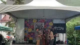 Telluride Band Contest 2024 - Still House String Band - First Round Fast Vocal Song