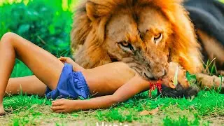 Lion Attack Man in Forest Lion AttackHunter Lion Attack Stories Part- 15