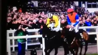 OLBG Mares Hurdle 2015 pre-race interview