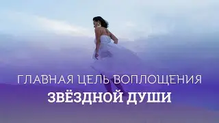 Вот зачем твоя Душа выбрала Землю