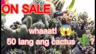 murang halamanan sa Commonwealth/part 1