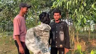 Our secend Action Video 😊