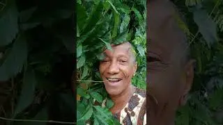 Ew&eacute; Akoko! ew&eacute; &ograve;!ew&eacute;!     If&aacute; l&oacute; n&iacute; ę f&aacute; m&iacute; m&oacute;r&aacute;!