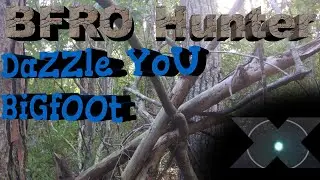 BFRO Hunter: Beach Reports turn into Bigfoot sightings
