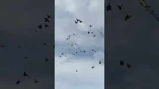 Витя  Холодная Балка