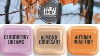 Tester Tuesday NEW Fall Winter 2020 - Cloudberry Dreams, Almond Croissant, Autumn Road Trip Scentsy