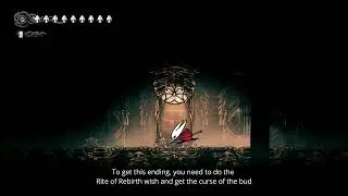 [SPOILERS] Silksong - Twisted Bud Secret Ending