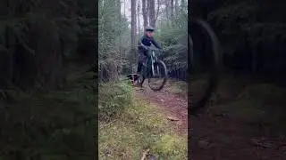 Liarlund #focusbikes #mtb #smalljump #ridebeyond #mountainbike #mtb❤️