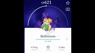Shadow Bellossom