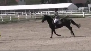 Pacard  2015r