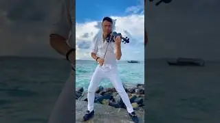 Surrounded by the rhythm of the ocean and the beauty of Mother Nature... 🌊🎻#shorts #fyp #viral