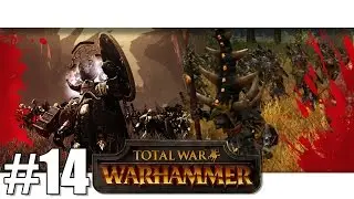Warhammer - SKARSNIK VERSUS BELAGAR - Part #14