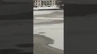 Hamburg Au&szlig;enalster 2026 Winter❄⛄