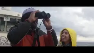 Far and Wide - Churchill MB