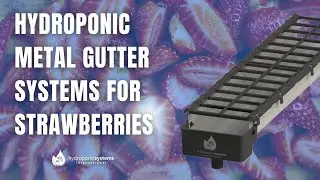 Hydroponic Metal Gutter Systems for Strawberries: Boost Yield and Quality in Greenhouses