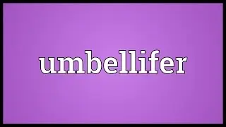 Umbellifer Meaning