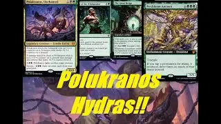Polukranos Hydras!!  -MTG Arena Standard-