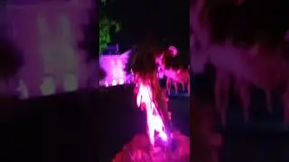 #ARCEN #LEUK #LICHTSHOW #GARDEN #MALA #BUBBELS #REGENBOOG #KLEUREN #ART