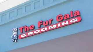 🐶 The Fur Gala - Dog Grooming Services in  San Diego & La Mesa California