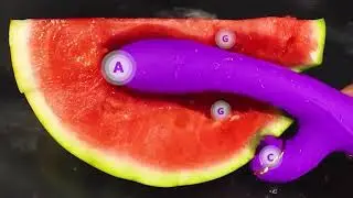 Yesnice 3 in 1 Vibrator Stimulator