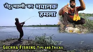 रोहू मछली पकड़ने का तरीका | Guchha Fishing Tips and Tricks | Rohu Fishing | Fishing | Angler Fishing