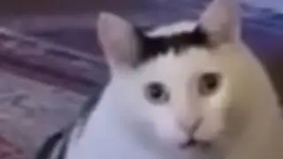 Disappointed noise