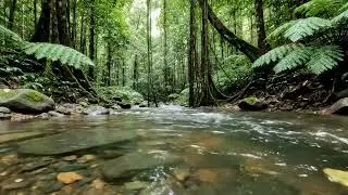 Relaxing River Sounds in Deep Forest | Peaceful Nature Ambience for Rest, Sleep & Relaxation