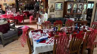 Christmas Table Set, Agapanthus, Christmas Lillies, A Storm, Removal of Pine Trees