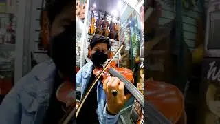 VIOLINES FRANCESCO CERVINI - CREMONA #SHORT