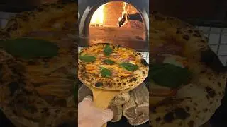 next level pizza dough #pizzanapolitana #pizzarecipe #pizzalover #shots #pizzalove #delicious #food