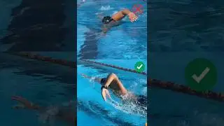 Front Crawl Head Position &ndash; One Small Fix That Changes Everything