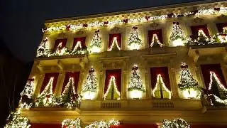 FLORARIA IRIS CALEA MOȘILOR 34 BUCUREȘTI ROM&Acirc;NIA 10 DECEMBRIE 2024  !