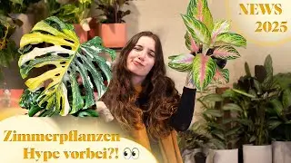 PFLANZENTRENDS 2025 🔥 🌿 Variegata Hype oder back to basics?