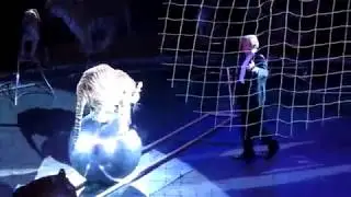 Lions attack on circus master