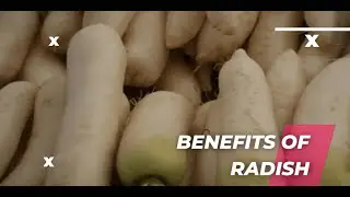 Health Benefits of Radish 2022 | Letter 