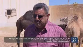 البرنامج الزراعي 
