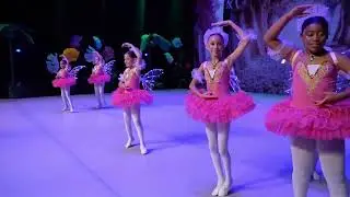 Espetáculo Margaridas Ballet – Inspirado em Moana | Borboletas
