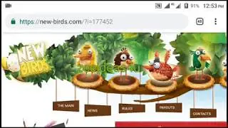 new-birds.com review (With live Payment proof) urdu/hindi