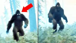 Government Suppressed BIGFOOT Proof From a Lost SAR Mission