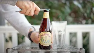 The Newbie Badge | Drinking Socially - Untappd's Craft Beer Podcast