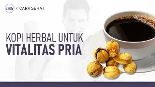 Cara Buat Kopi Herbal untuk Vitalitas Pria | Hidup Sehat tvOne