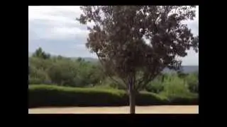River Walk Park in Eastvale CA