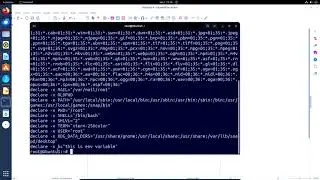 Linux commands: Export, set, env commands