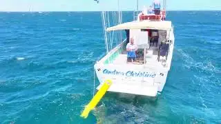 EPIC Drone Catch! 🚁 | 2026 F18 Worlds Race 13 | JBSC Start Boat Action