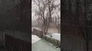 #snow #snowfall #satisfying #trending #viral #madrid